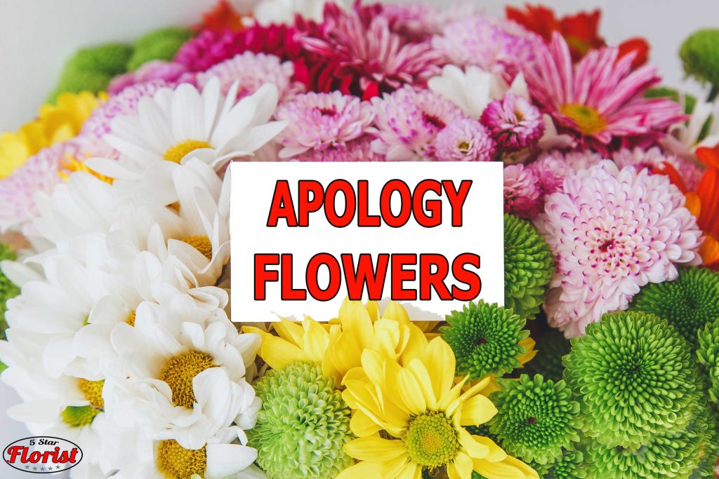 apology flowers St. Louis