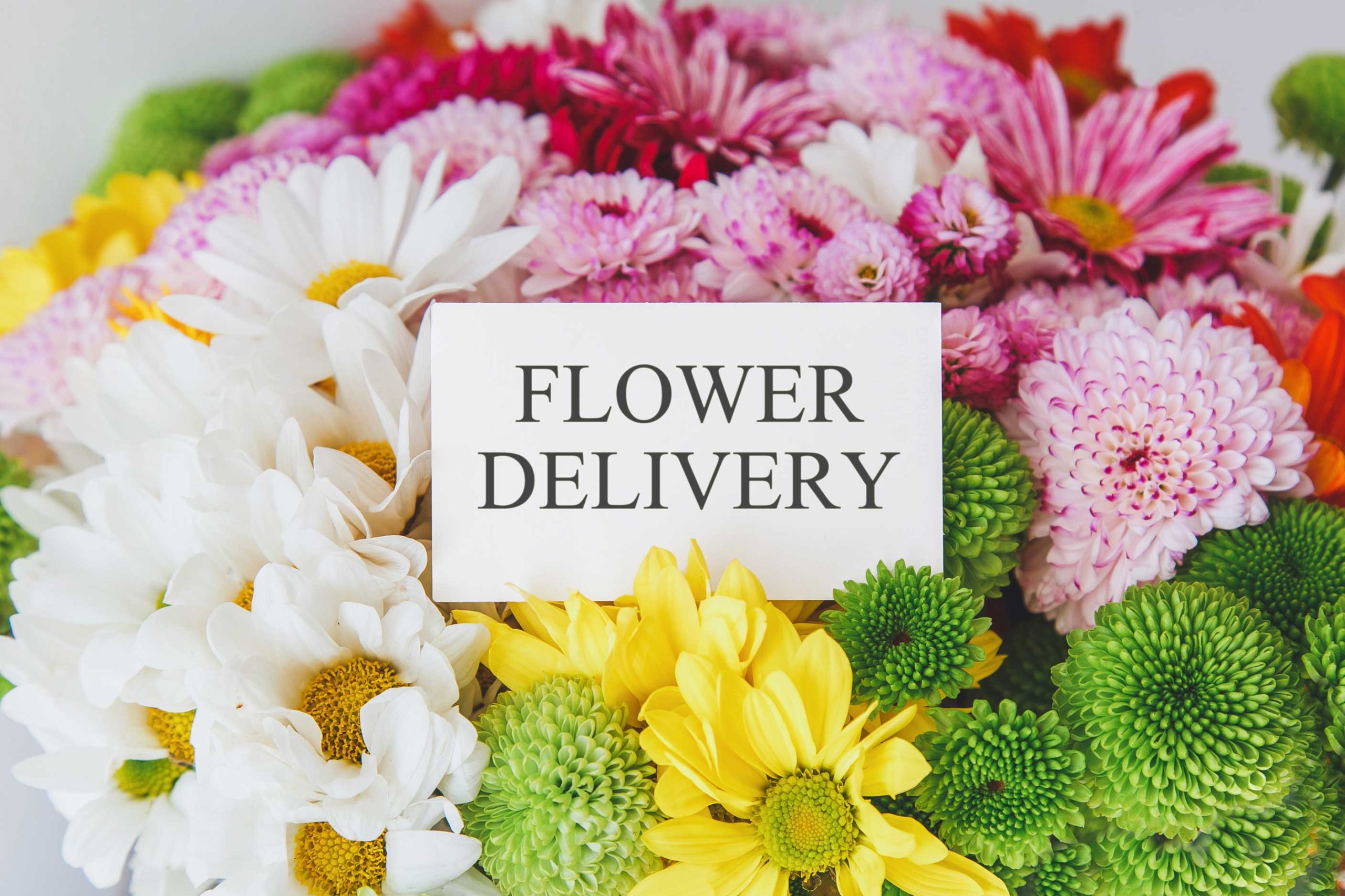 same-day-flower-delivery- St. Louis